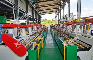 xinhai-flotation-plant
