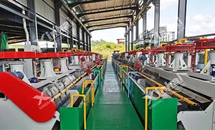 xinhai-flotation-plant