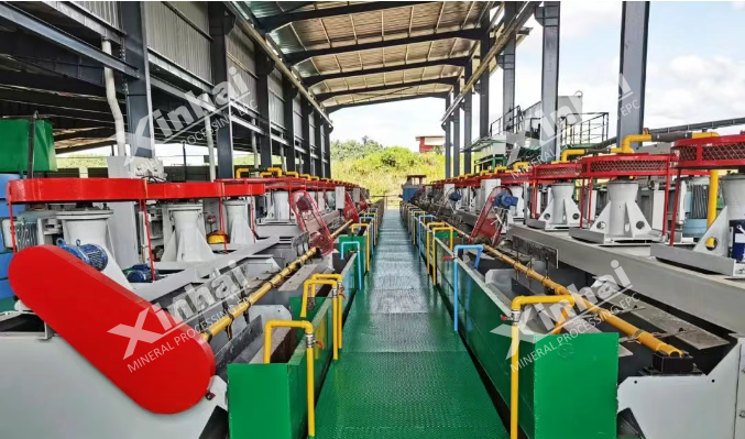xinhai-flotation-plant