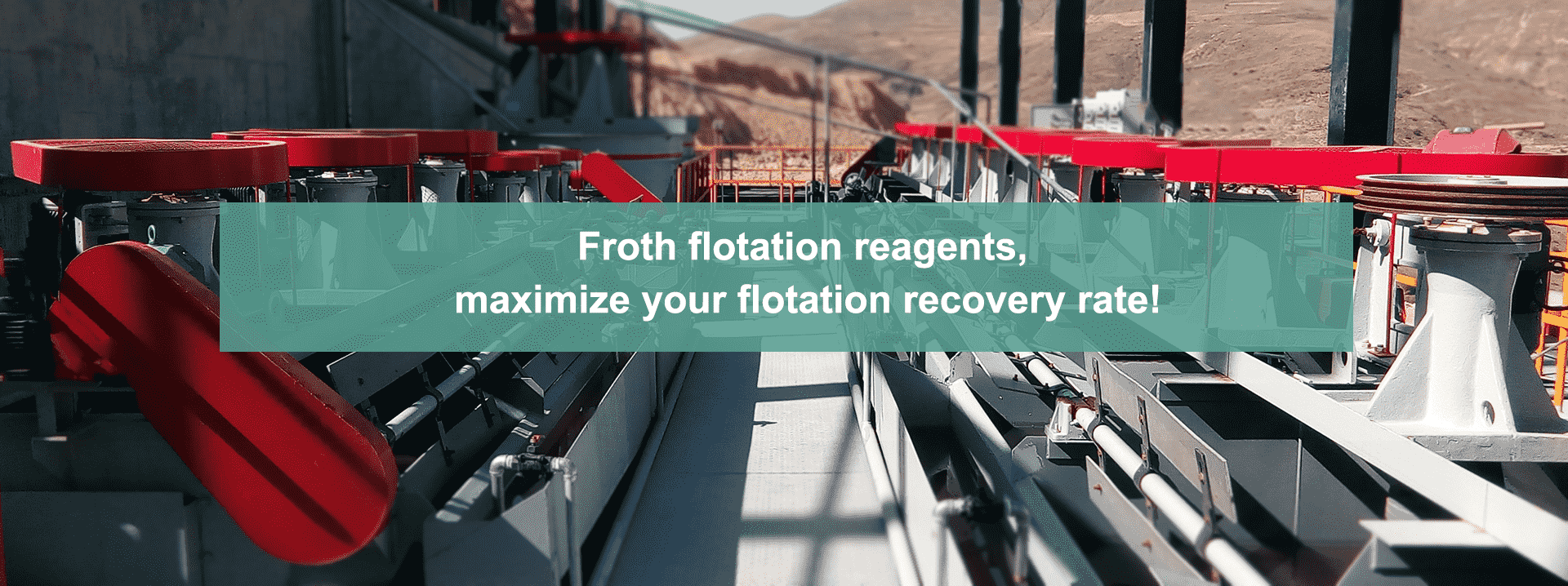 froth flotation reagent